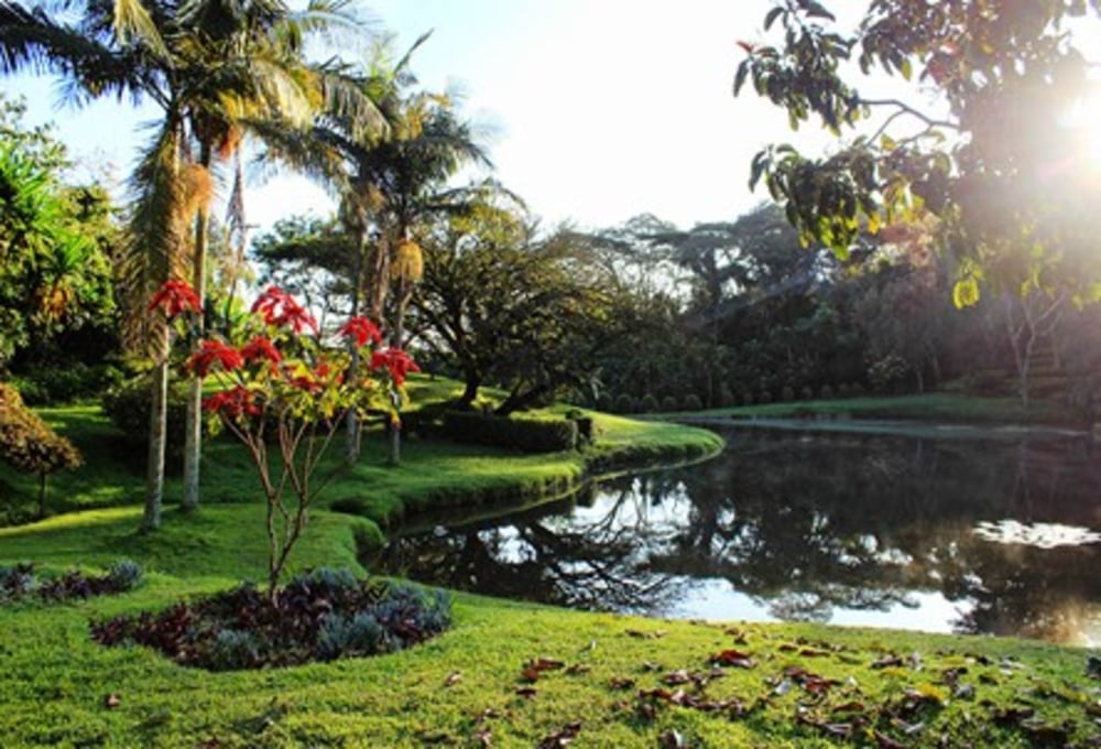 Wanderung Maraoli Hills oder Blumengarten der Kapsimotwa Farm